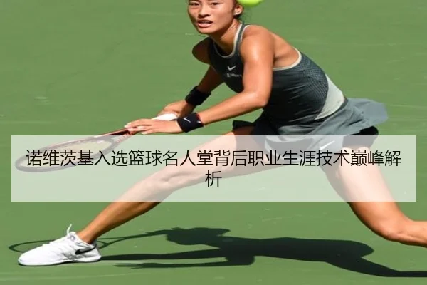 诺维茨基入选篮球名人堂背后职业生涯技术巅峰解析